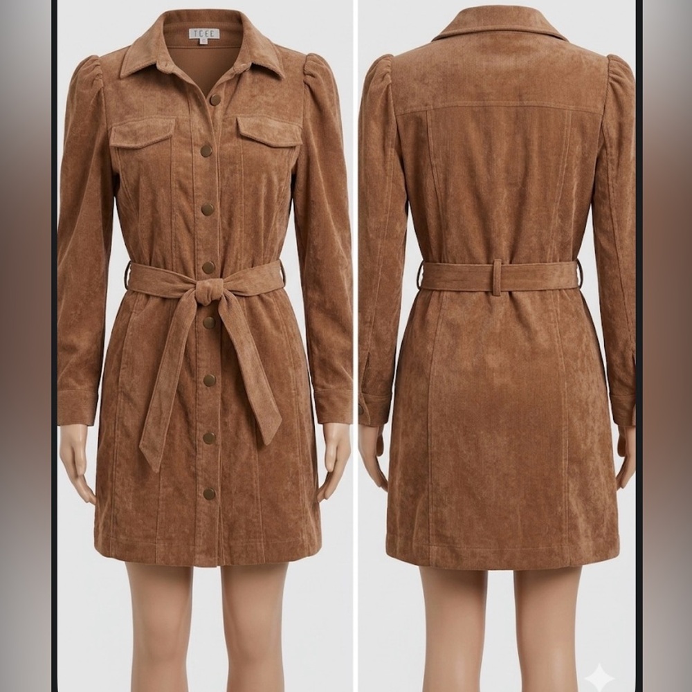 TCEC Tan Suede Long Sleeve Dress